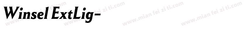 Winsel ExtLig字体转换